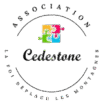 Logo Asso Cedestone Autisme